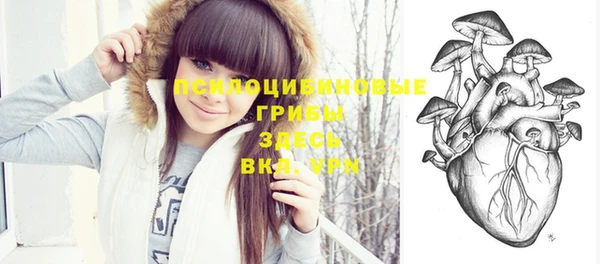 PSILOCYBIN Киренск