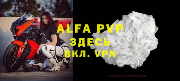 прущие грибы Кинешма