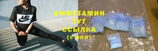прущие грибы Кинешма