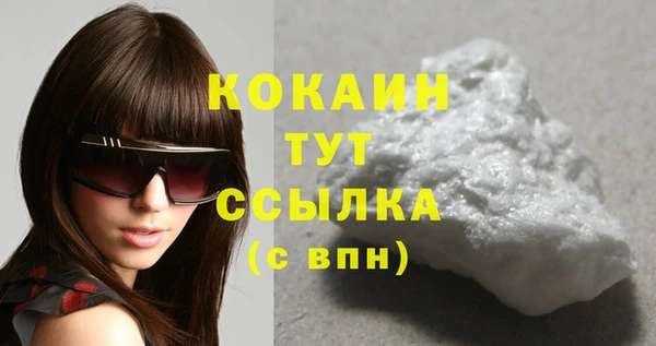 прущие грибы Кинешма