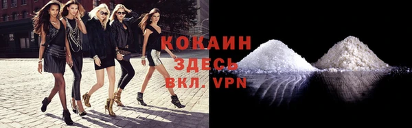 PSILOCYBIN Киренск
