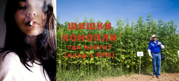 PSILOCYBIN Киренск
