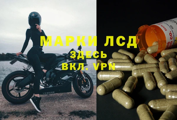PSILOCYBIN Киренск
