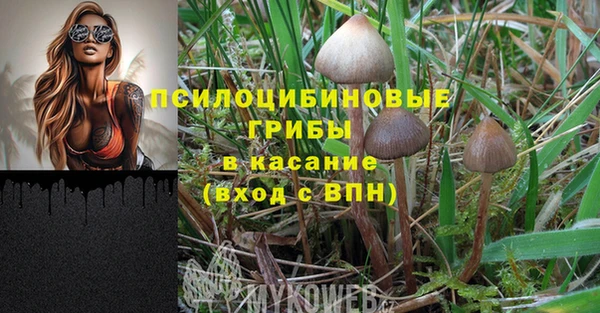 ГАЛЛЮЦИНОГЕННЫЕ ГРИБЫ Киреевск