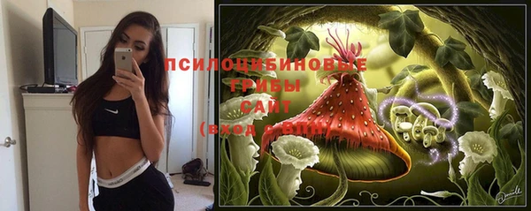 прущие грибы Кинешма