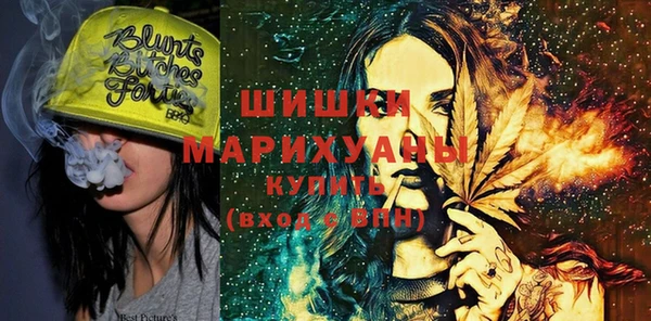 прущие грибы Кинешма