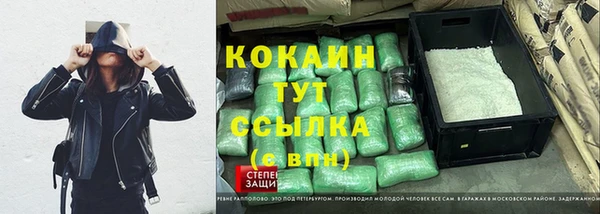 PSILOCYBIN Киренск